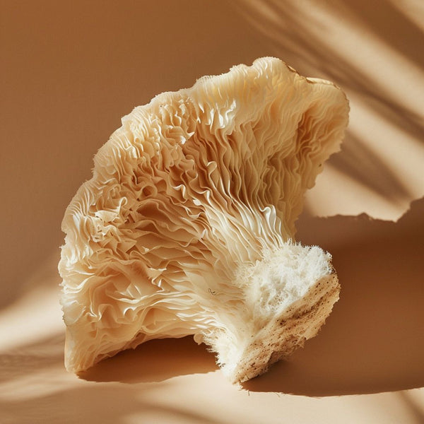 Lion’s Mane